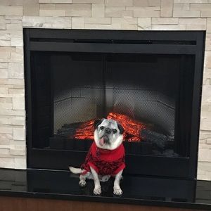 Meet your Posher, Sam